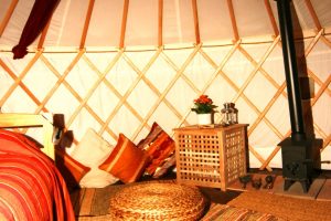 yurt holiday in Pantglas