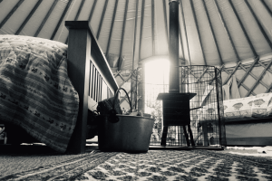 Wild Guernsey yurt