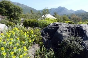 yurt holiday in Greece