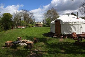 Glamping yurts